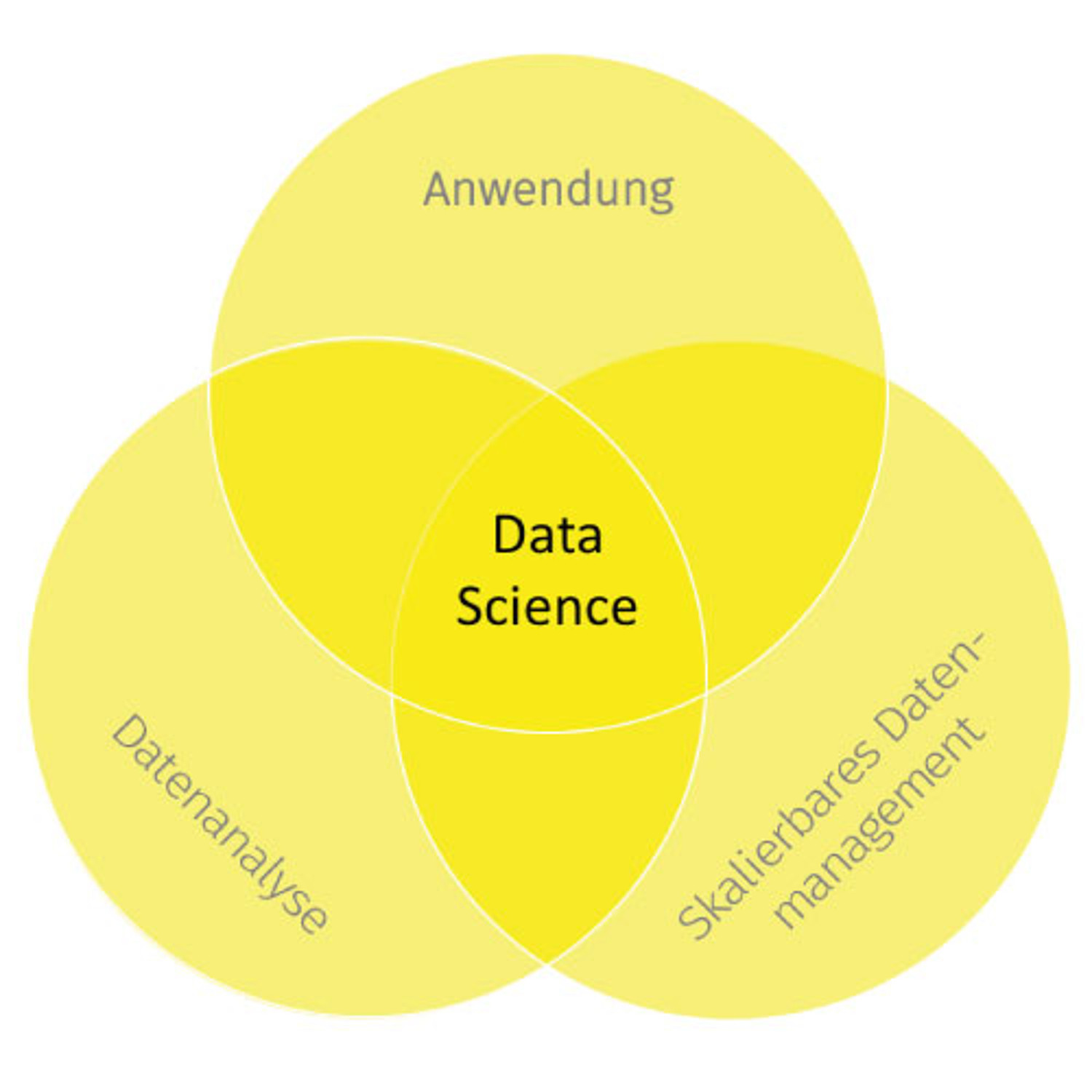 Anforderungen-Data-Scientist