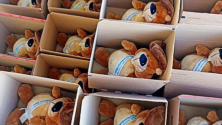Biber-Plüschtiere in Kartons