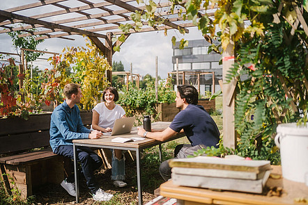 Drei Studierende sitzen in einem Urban-Gardening-Areal und unterhalten sich