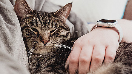 Eine menschlicher Arm trägt eine Smartwatch und hält eine Katze im Arm