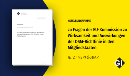 Sharepic mit der ersten Seite der Stellungnahme auf gelb-blauen Hintergrund und dem GI-Logo rechts in der Ecke